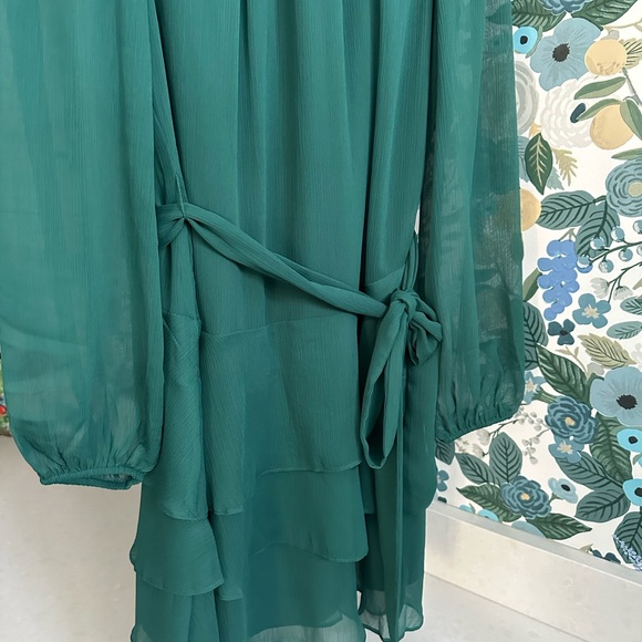 EXPRESS Long Sleeve Tie Waist Tiered Ruffle Fit And Flare Dress Small Green - Picture 9 of 14